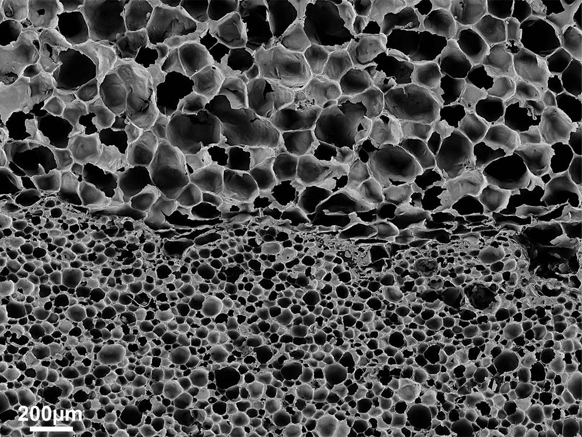 Unveiling the Microstructure of Refractory Materials: A Closer Look