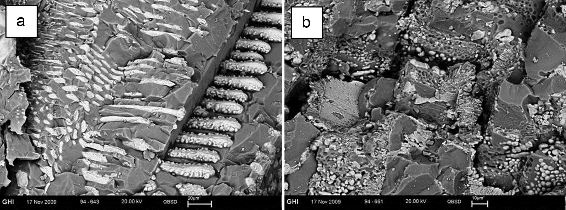 Exploring the Potential of Nanotechnology in Refractory Product Development
